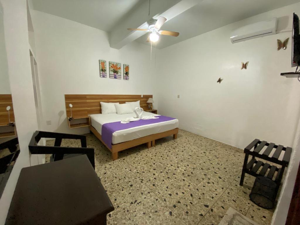 Casa Gubidxa Hotel Oaxaca Exterior photo